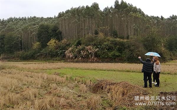 呼伦贝尔市陈老师带着爱徒寻龙点穴